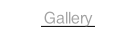 Gallery.